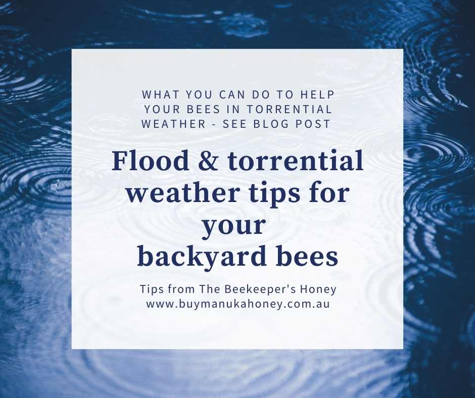 Tips for what to do for your backyard honey bees in a flood & during torrential weather
