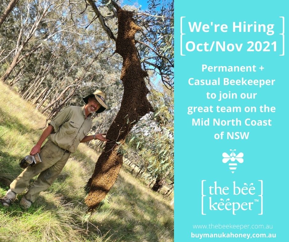 Job Vacancy : Beekeeper / Apiary Assistant (start Oct/Nov2021) Port Macquarie / Kempsey region NSW