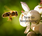 New to beekeeping?