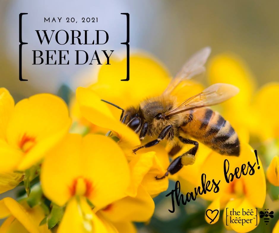 Celebrating World Bee Day!